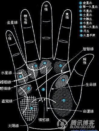 手上長一根白毛|身上有一根毛特別長，是長壽象徵，還是癌變前兆？